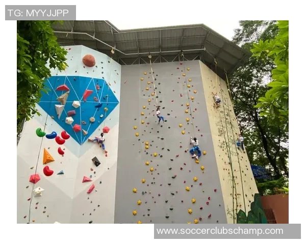 上海攀岩队心理素质排名第一最新攀岩心理素质TOP10揭晓