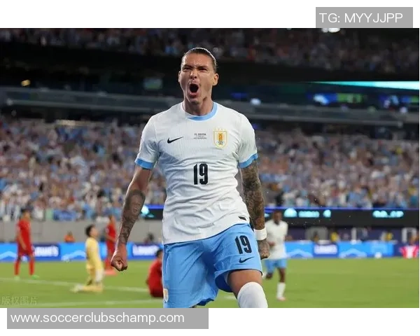 努涅斯在赛场上的崛起与挑战解析，未来能否成为足坛新星的关键时刻