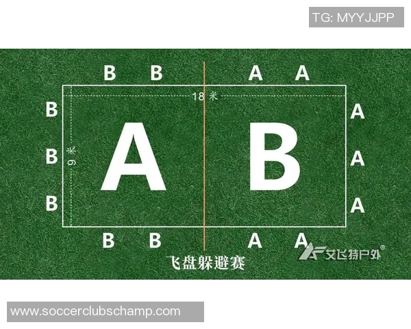 南京飞盘队与武汉飞盘队赛后分析灵活性表现及战术调整探讨