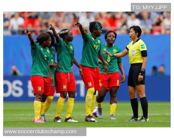 德国与喀麦隆比赛主裁判的执法表现分析与讨论